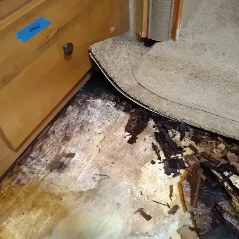 Wood Floor Water Damage in Severance, CO